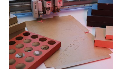 Numune & Ön Hazırlık