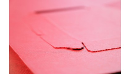 Numune & Ön Hazırlık